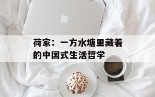 荷家：一方水塘里藏着的中国式生活哲学