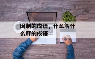 因制的成语，什么解什么释的成语