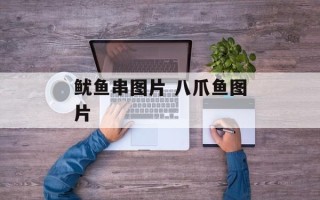 鱿鱼串图片 八爪鱼图片