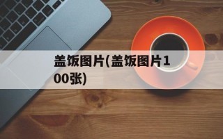 盖饭图片(盖饭图片100张)