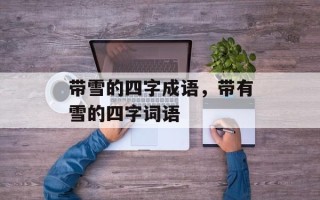 带雪的四字成语，带有雪的四字词语