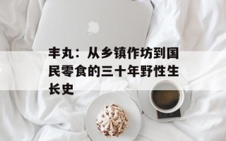 丰丸：从乡镇作坊到国民零食的三十年野性生长史