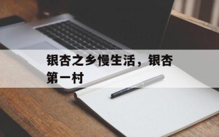 银杏之乡慢生活，银杏第一村