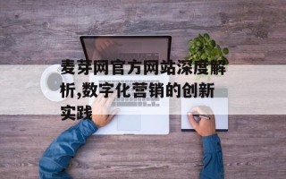 麦芽网官方网站深度解析,数字化营销的创新实践