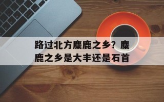 路过北方麋鹿之乡？麋鹿之乡是大丰还是石首