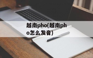 越南pho(越南pho怎么发音)