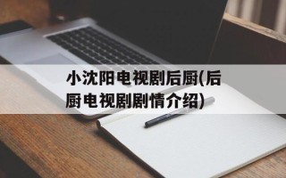 小沈阳电视剧后厨(后厨电视剧剧情介绍)