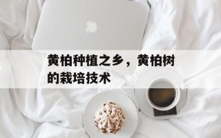 黄柏种植之乡，黄柏树的栽培技术