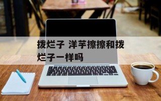 拨烂子 洋芋擦擦和拨烂子一样吗