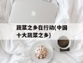 蔬菜之乡在行动(中国十大蔬菜之乡)