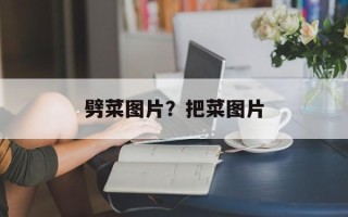 劈菜图片？把菜图片