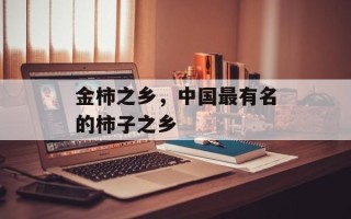 金柿之乡，中国最有名的柿子之乡