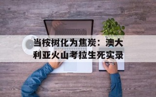 当桉树化为焦炭：澳大利亚火山考拉生死实录