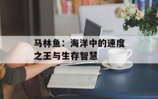 马林鱼：海洋中的速度之王与生存智慧