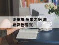 湖州市 鱼米之乡(湖州彩色稻田)