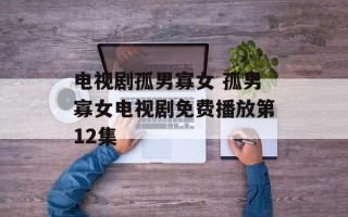 电视剧孤男寡女 孤男寡女电视剧免费播放第12集