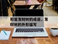 形容发财树的成语，发财树的外形描写