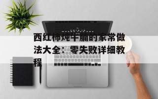 西红柿炖牛腩的家常做法大全：零失败详细教程