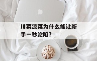川菜凉菜为什么能让新手一秒沦陷？