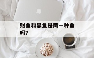 财鱼和黑鱼是同一种鱼吗？
