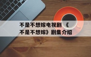 不是不想嫁电视剧 《不是不想嫁》剧集介绍