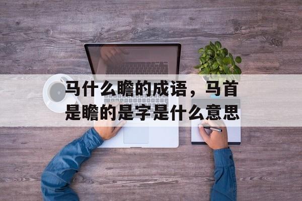 马什么瞻的成语，马首是瞻的是字是什么意思-第1张图片-