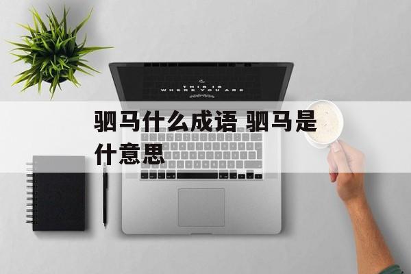 驷马什么成语 驷马是什意思-第1张图片-