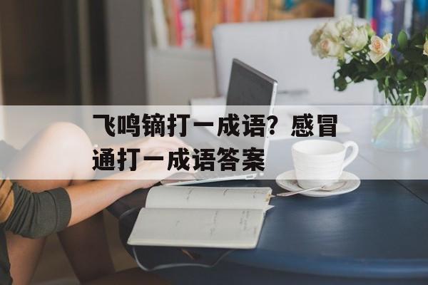 飞鸣镝打一成语？感冒通打一成语答案-第1张图片-