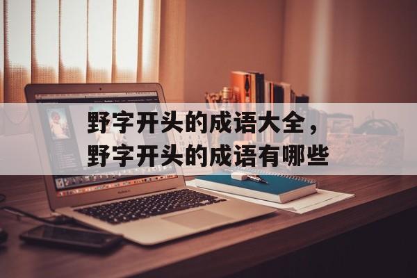 野字开头的成语大全，野字开头的成语有哪些-第1张图片-