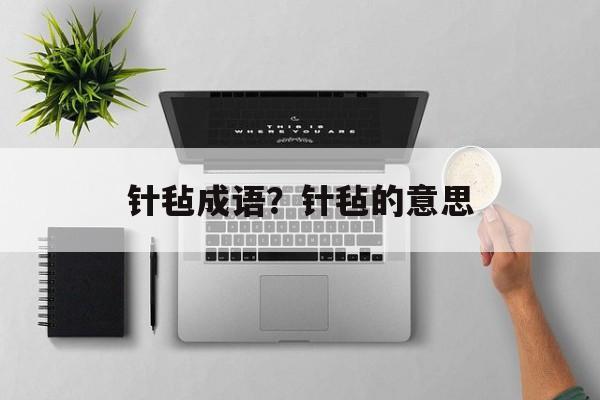 针毡成语？针毡的意思-第1张图片-