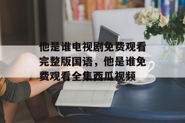 他是谁电视剧免费观看完整版国语，他是谁免费观看全集西瓜视频-第1张图片-