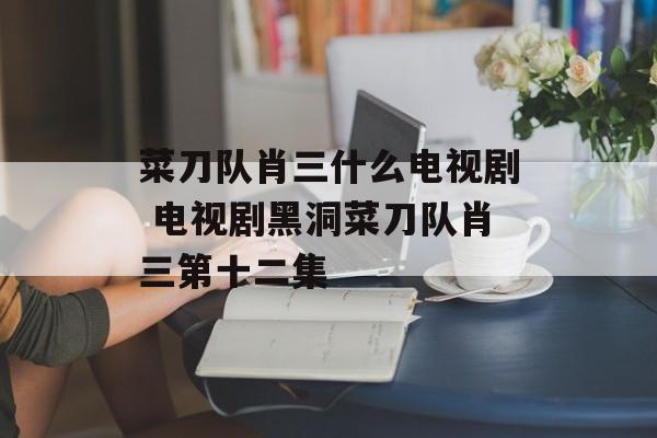 菜刀队肖三什么电视剧 电视剧黑洞菜刀队肖三第十二集-第1张图片-