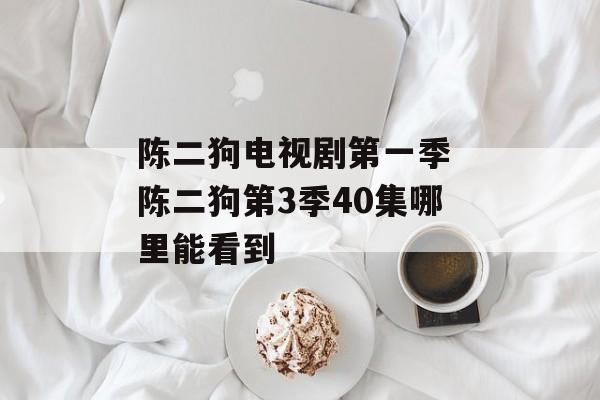 陈二狗电视剧第一季 陈二狗第3季40集哪里能看到-第1张图片-