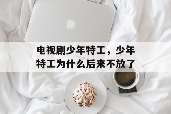 电视剧少年特工，少年特工为什么后来不放了-第1张图片-