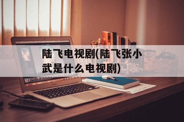 陆飞电视剧(陆飞张小武是什么电视剧)-第1张图片-