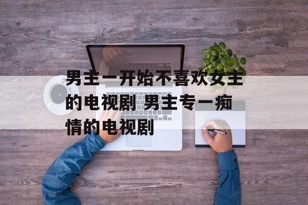 男主一开始不喜欢女主的电视剧 男主专一痴情的电视剧-第1张图片-