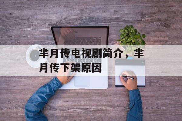 芈月传电视剧简介，芈月传下架原因-第1张图片-