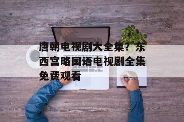 唐朝电视剧大全集？东西宫略国语电视剧全集免费观看-第1张图片-