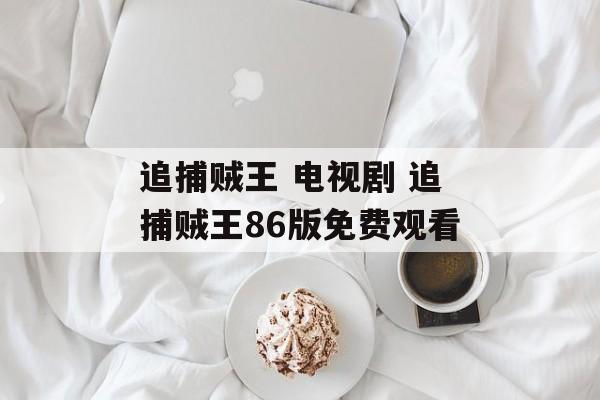 追捕贼王 电视剧 追捕贼王86版免费观看-第1张图片-