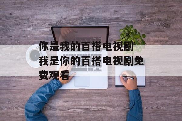 你是我的百搭电视剧 我是你的百搭电视剧免费观看-第1张图片-