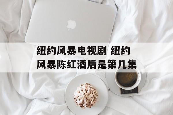 纽约风暴电视剧 纽约风暴陈红酒后是第几集-第1张图片-