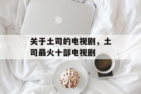 关于土司的电视剧，土司最火十部电视剧-第1张图片-