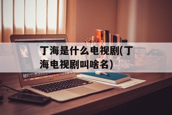 丁海是什么电视剧(丁海电视剧叫啥名)-第1张图片-