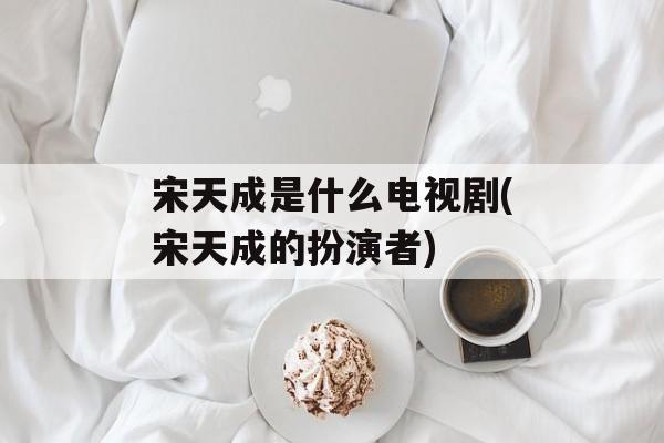 宋天成是什么电视剧(宋天成的扮演者)-第1张图片-