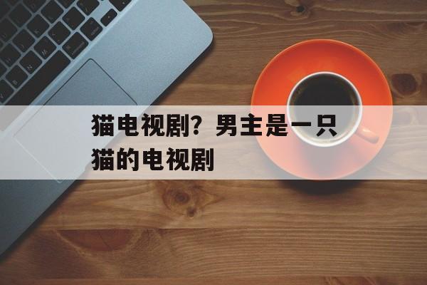 猫电视剧？男主是一只猫的电视剧-第1张图片-