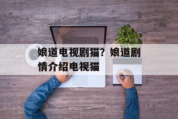 娘道电视剧猫？娘道剧情介绍电视猫-第1张图片-