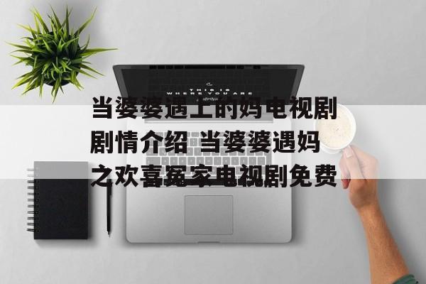 当婆婆遇上的妈电视剧剧情介绍 当婆婆遇妈之欢喜冤家电视剧免费-第1张图片-