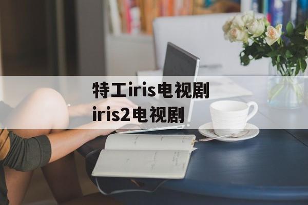 特工iris电视剧 iris2电视剧-第1张图片-