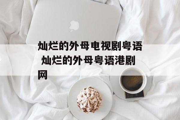 灿烂的外母电视剧粤语 灿烂的外母粤语港剧网-第1张图片-