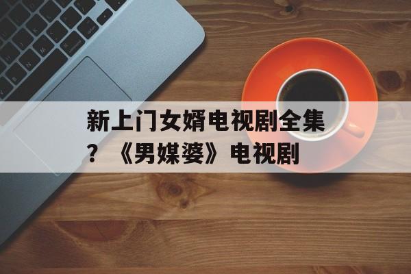 新上门女婿电视剧全集？《男媒婆》电视剧-第1张图片-
